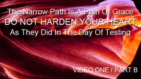 The Narrow Path Is A Path Of Grace – Video One / Part B